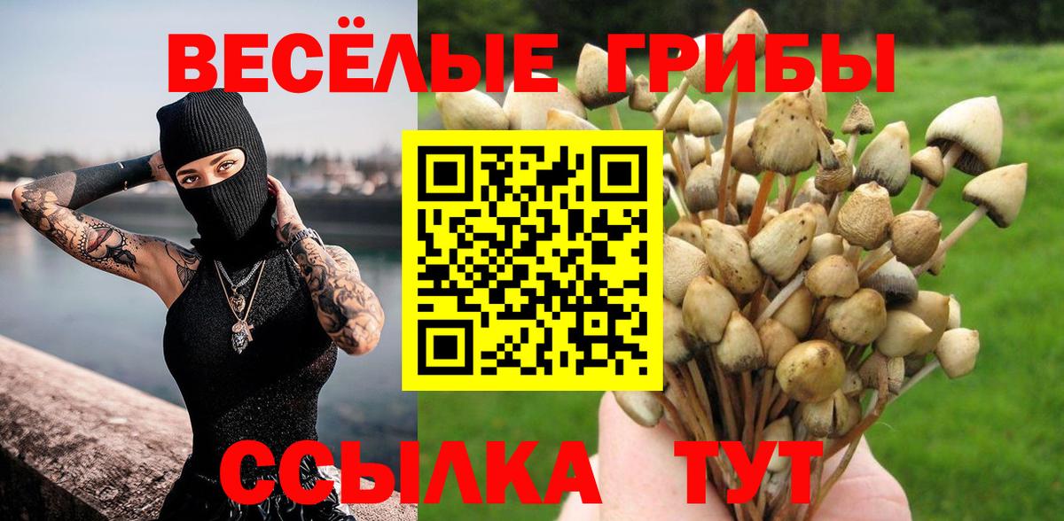 Галлюциногенные грибы Psilocybine cubensis  Псилоцибиновые грибы Psilocybe  Вход с VPN  Карачаевск 