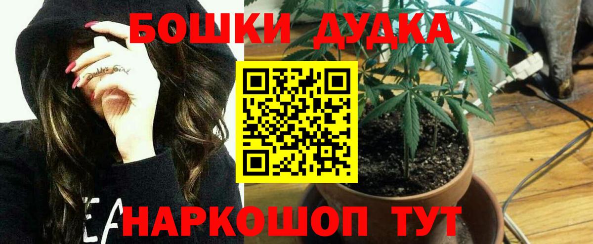 Бошки марихуана VHQ Карачаевск